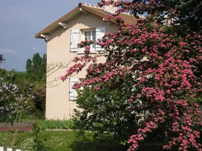 A La Volette - Image 5