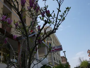 Hotel Ile de France - Image 5