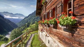 FeWo "Sommerrain" Oberstaufen/Weißach - Image 5