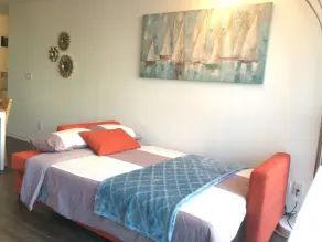 AOC Suites - Luxury Condo - City View - Image 3