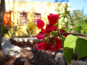 Hacienda Cobá Hotel - Image 5