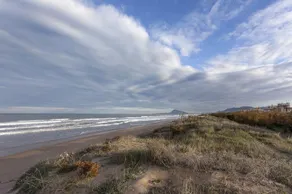 Dunas DE Oliva - Image 4
