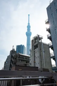 Hakuro Skytree - Image 3