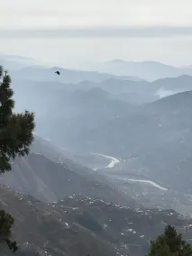 Muzaffarabad View Hotel - Image 3