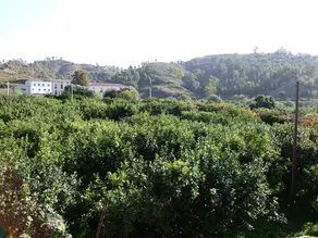 Azienda  La Spina Santa - Image 3