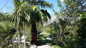 La Marina Gardens Beach - Image 5