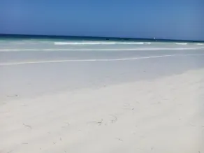 Simba + Oryx Beach Cottages - Image 3