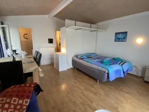 Casa ai Terreni dei Nonni Losone - Image 2