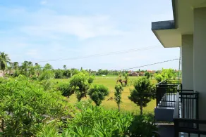 GM Hotel Lovina - Image 2