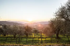 Villa le Monache B&B - Image 2