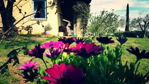 Borgo Campanile B&B - Image 4