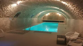 Mansion With in Vernou sur brenne With Pool Access Enclos - Image 2