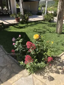 Charming 2 bed House in Kallithea - Image 3