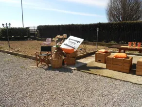 Cantine Cinematografiche - Image 4