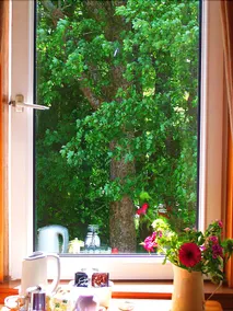 Conusg Bed and Breakfast - Image 2