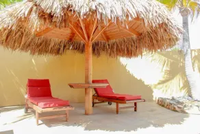 Paradise Found - Image 5
