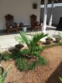White Lotus Villa - Image 3