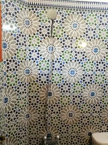 Riad Boustan - Image 5