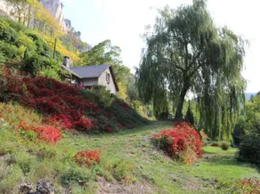 Villa Lieu Dit La Caze - Image 3