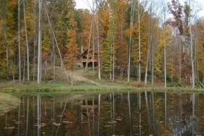 The Woodbury Cabin - Image 3