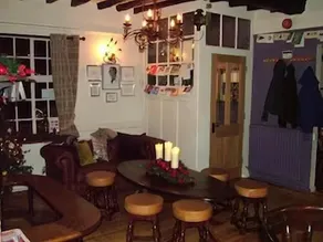 The Frog - Image 3