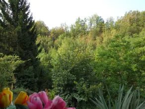 Casa Clotilde - Image 3