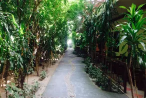 B2@Samui Beach Resort - Image 2