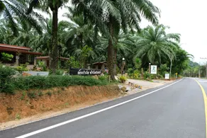 Tonpalm Farmstay - Image 3