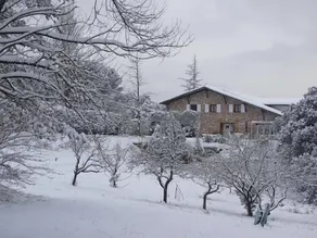 Landarte - Image 4