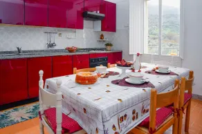 Easy Welcome Salvia - Cartolari County Apartments - Image 3