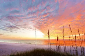 A House on Siesta Beach by Beachside Management - Image 3