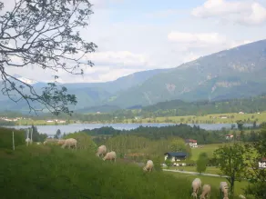Steindlhof - Image 5