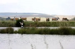 Elandskloof Trout Farm - Image 2