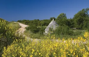 Nice Home in Puntera With Wifi and 3 Bedrooms - Image 3