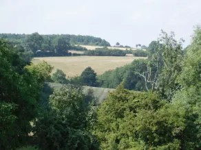 The Star Inn - Image 4