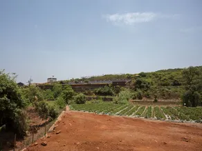 Meera Vatika - Image 3