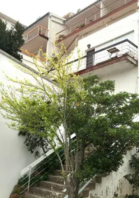 Duplex Avec Vue Sur La Mer - Image 4