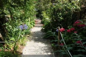 Le Chemin Des Iles - Image 5