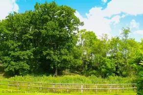 The Woodland Cottage - Image 2