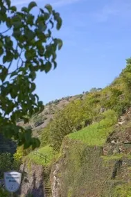 Herrmannsmühle - Image 2