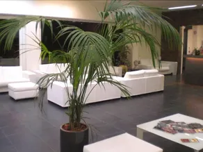 Hotel Paradiso - Image 4