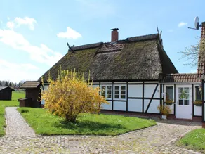 Cozy Apartment in Hohenkirchen With Terrace - Image 4