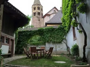 La Vieille Vigne - Image 5