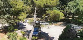 Locabed Le Corvette - Image 2