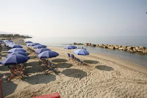Leucosya - Image 4