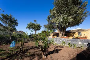 HomeLike Rustic House orchard and Wifi - Image 3