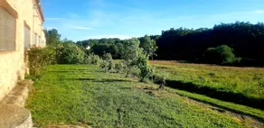 Casa Rural Colmenarejo - Image 5