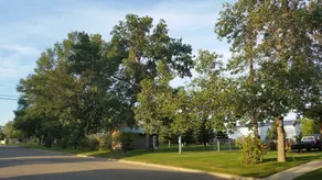Bison Lodge - Image 5