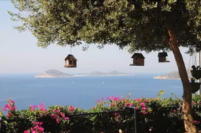 Ekinhan Hotel - Image 4