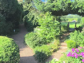 Large Apartment in the Thuringian Forest - Quiet With a Fantastic View - Image 5
